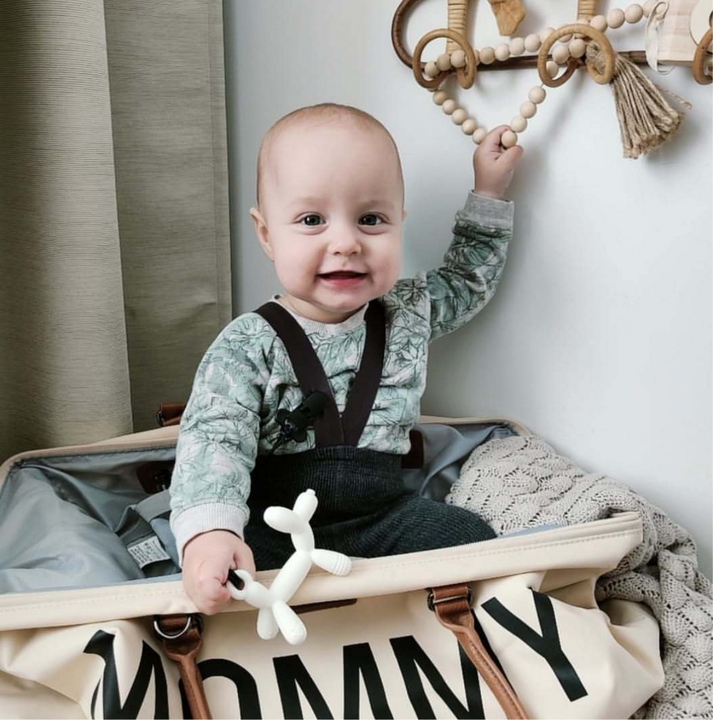 Welpenbeißring (Rosa)